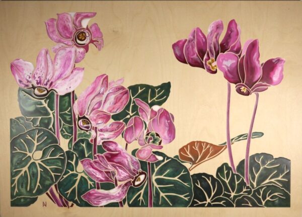 Tanigami Cyclamens Cyclamens