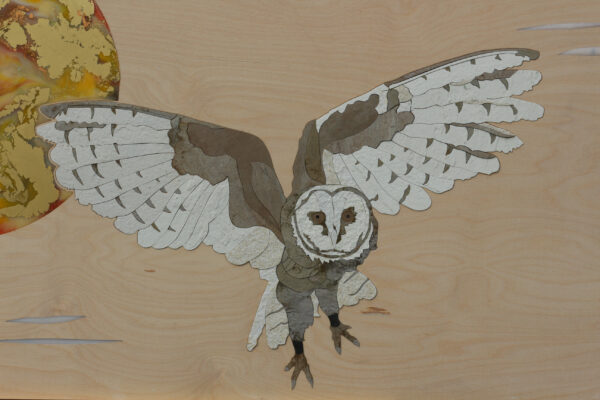 Vol d'ailleurs chouette Vol d'ailleurs